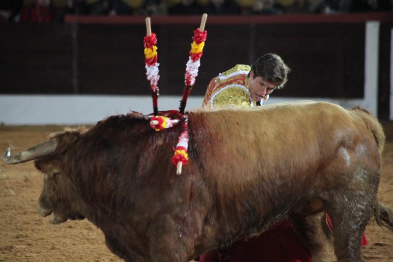 Reportaje fotográfico de la corrida de El Juli, Perera y Padilla en Olivenza