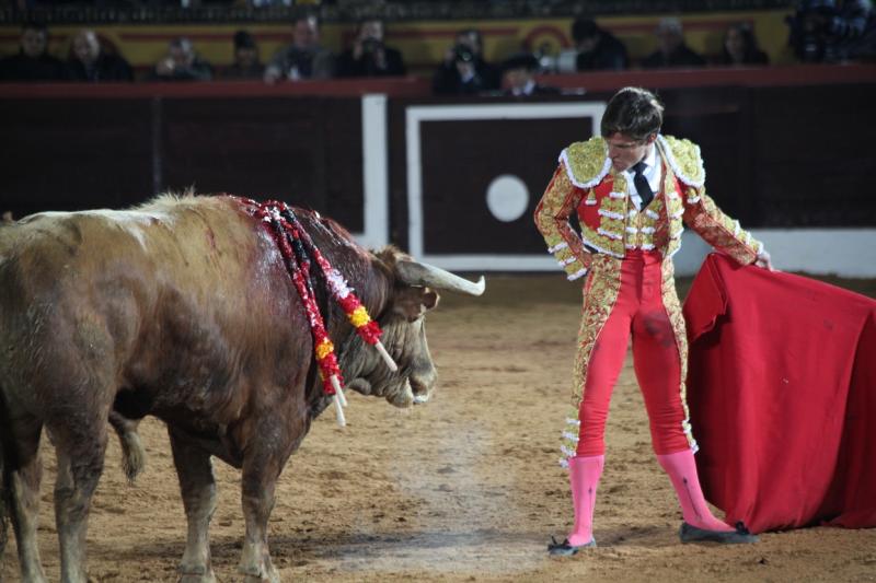 Reportaje fotográfico de la corrida de El Juli, Perera y Padilla en Olivenza