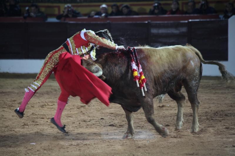 Reportaje fotográfico de la corrida de El Juli, Perera y Padilla en Olivenza