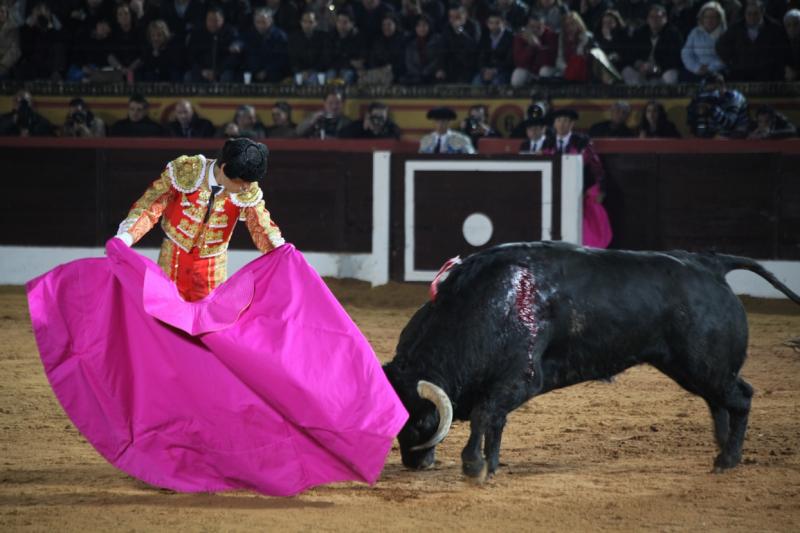 Reportaje fotográfico de la corrida de El Juli, Perera y Padilla en Olivenza