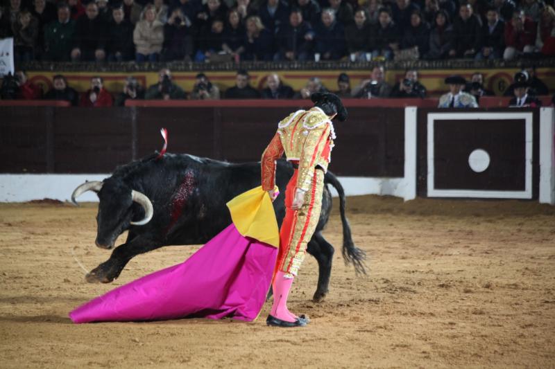 Reportaje fotográfico de la corrida de El Juli, Perera y Padilla en Olivenza