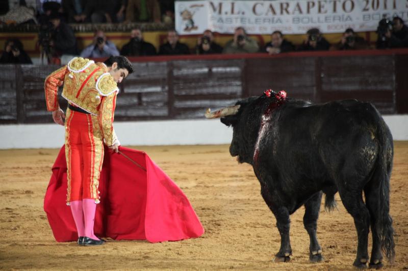 Reportaje fotográfico de la corrida de El Juli, Perera y Padilla en Olivenza