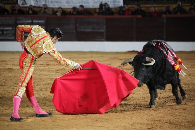 Reportaje fotográfico de la corrida de El Juli, Perera y Padilla en Olivenza