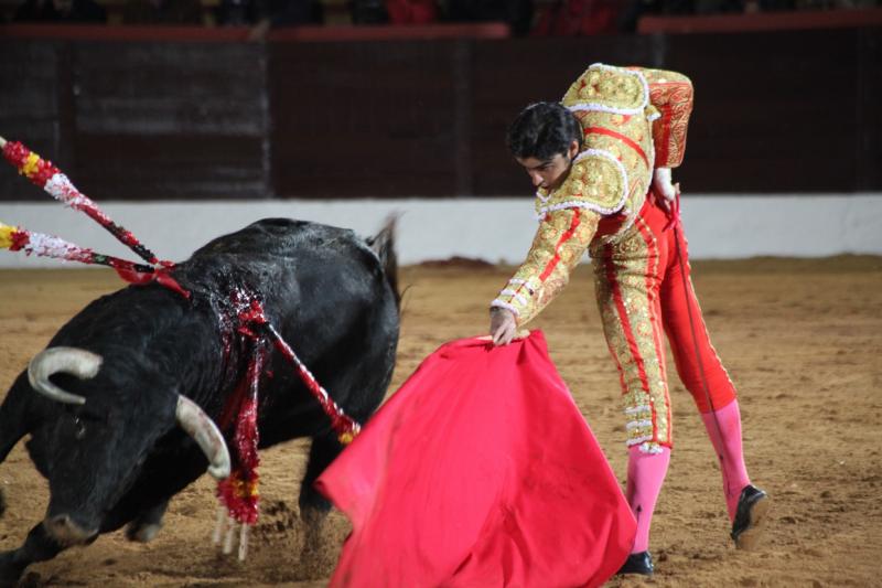 Reportaje fotográfico de la corrida de El Juli, Perera y Padilla en Olivenza