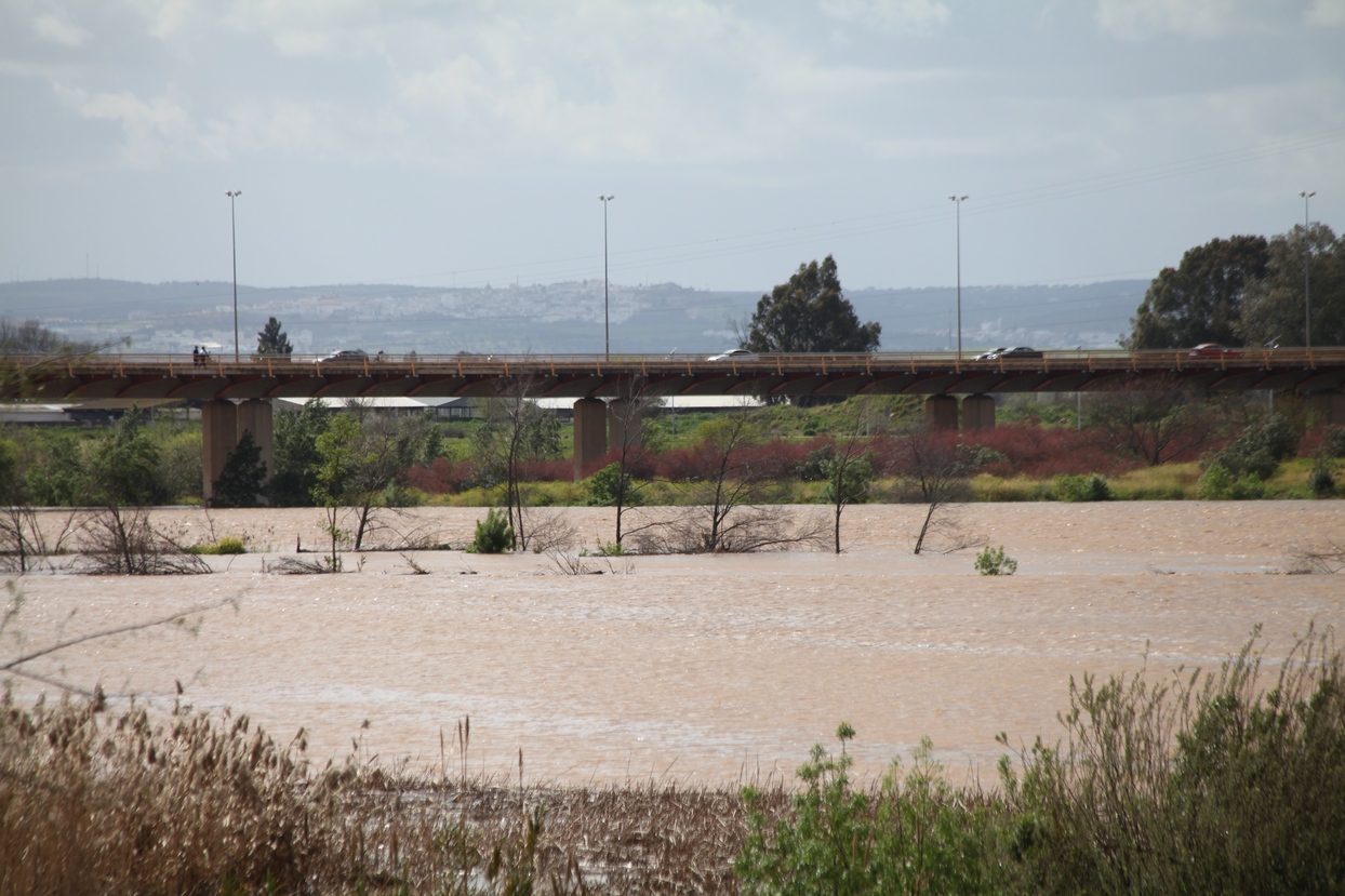 El caudal del Guadiana en Badajoz alcanza al Paseo Fluvial