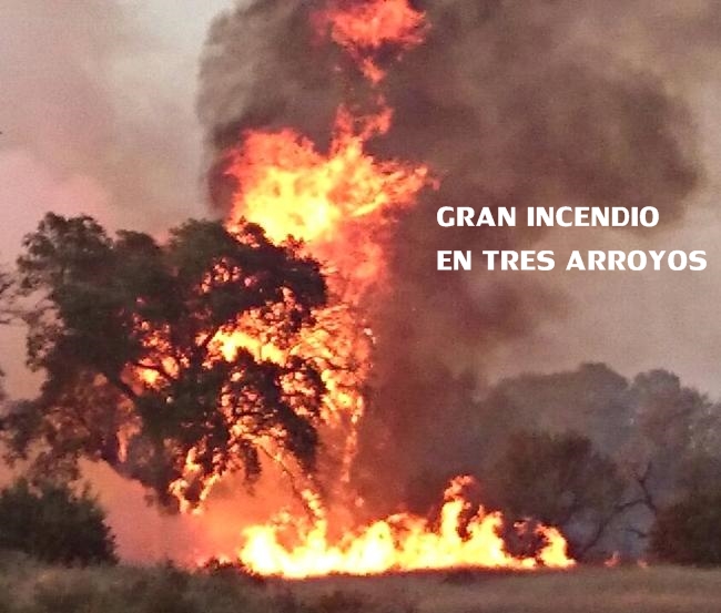 Noticias del año 2014 en Extremadura - segundo semestre - Parte 1