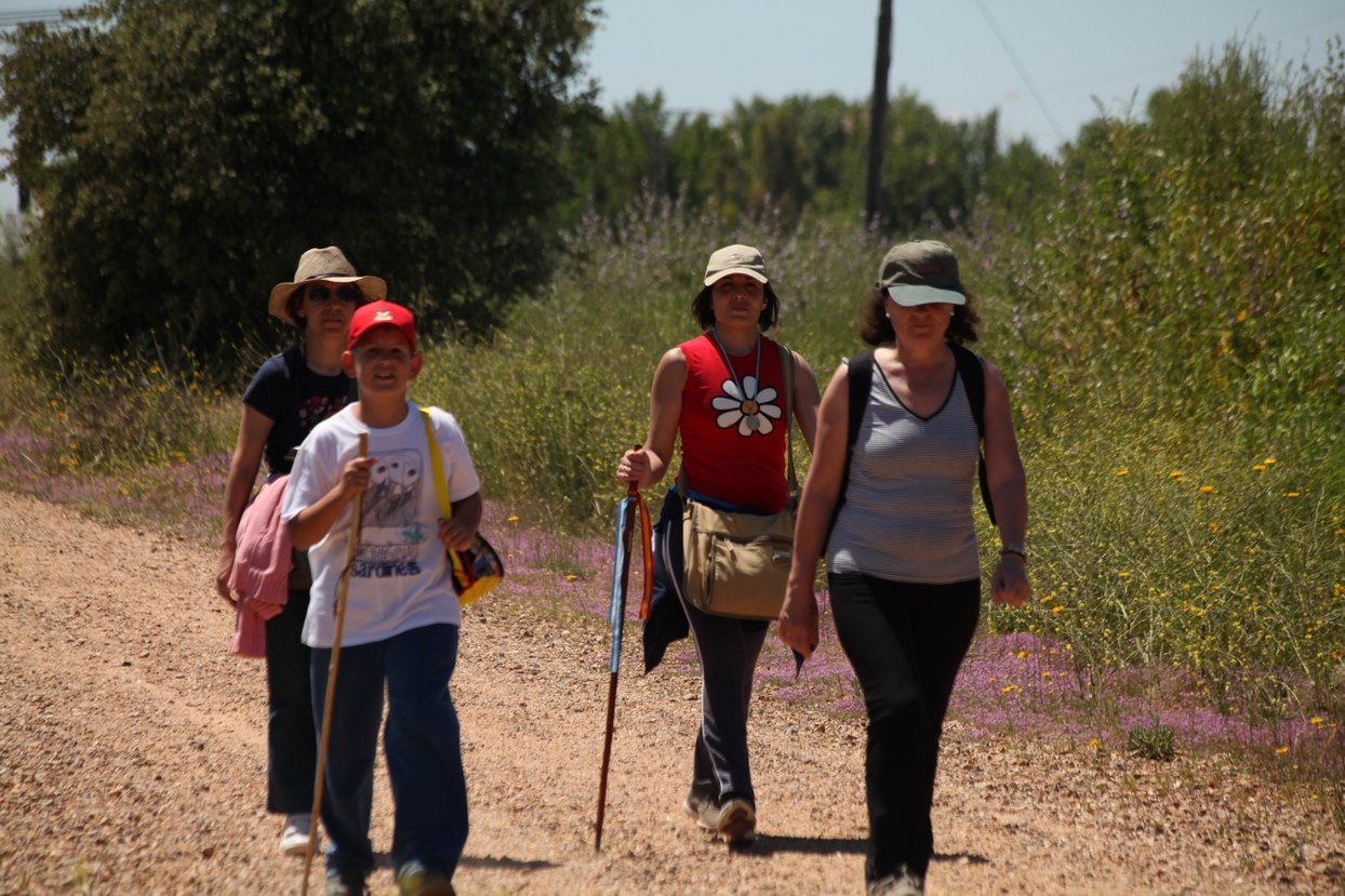 Romería de Bótoa 2013