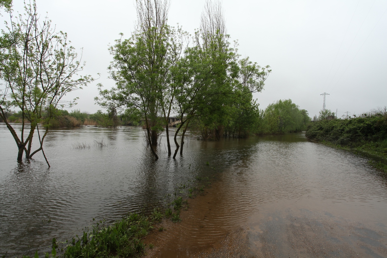 Crecida del río Guadiana a su paso por Badajoz