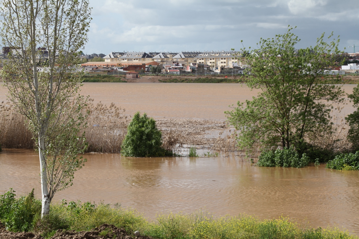 El caudal del Guadiana en Badajoz alcanza al Paseo Fluvial