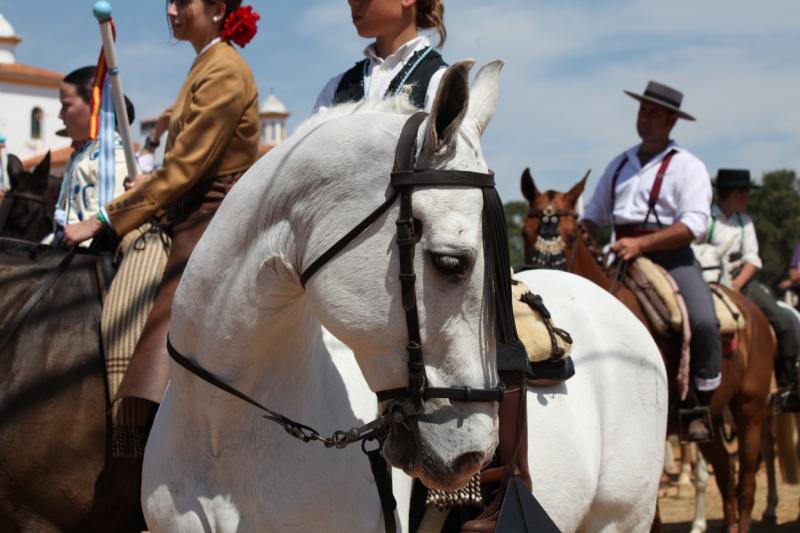 Romería de Bótoa 2013