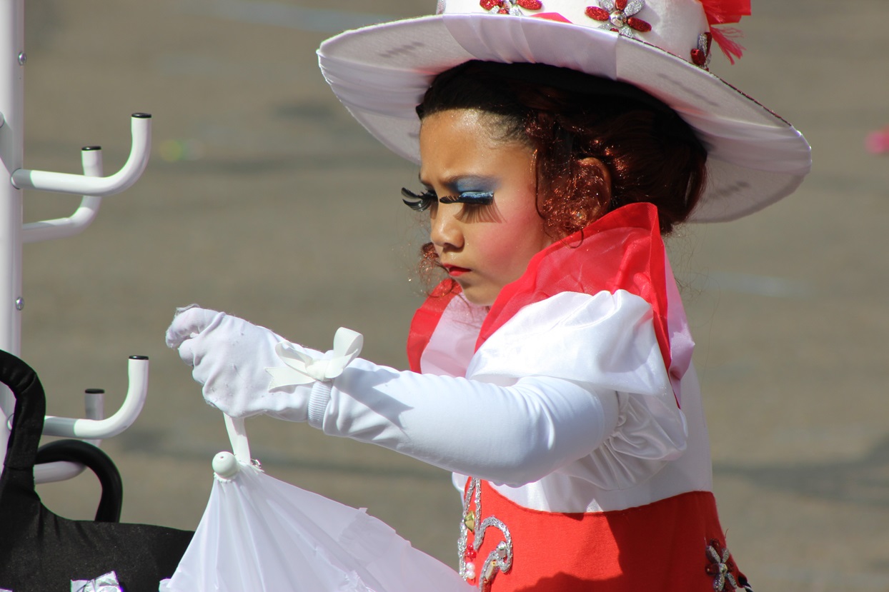 Primeros planos del Gran Desfile de Comparsas de Badajoz 2014