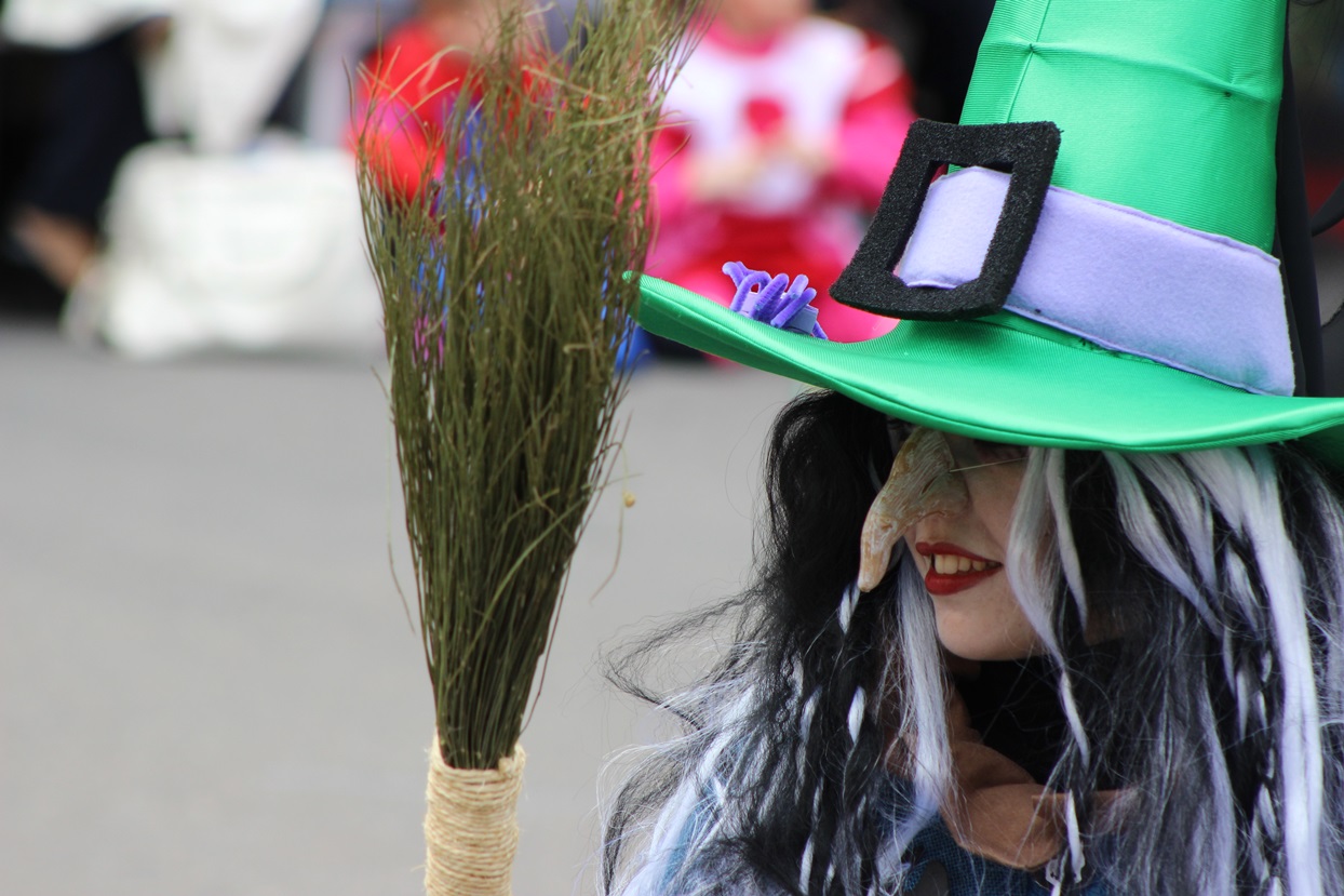 Primeros planos del Gran Desfile de Comparsas de Badajoz 2014