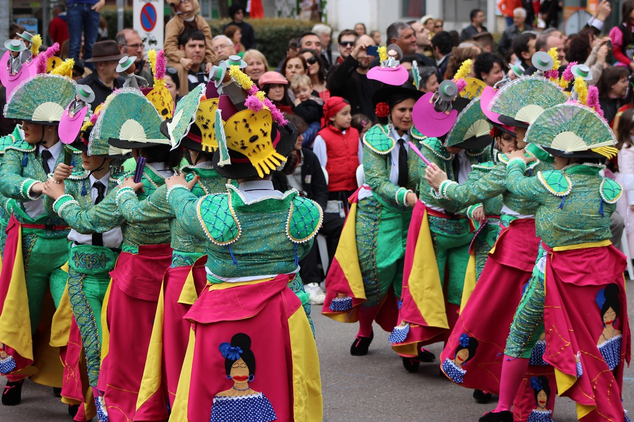 Gran Desfile de Comparsas de Badajoz 2014, parte 2