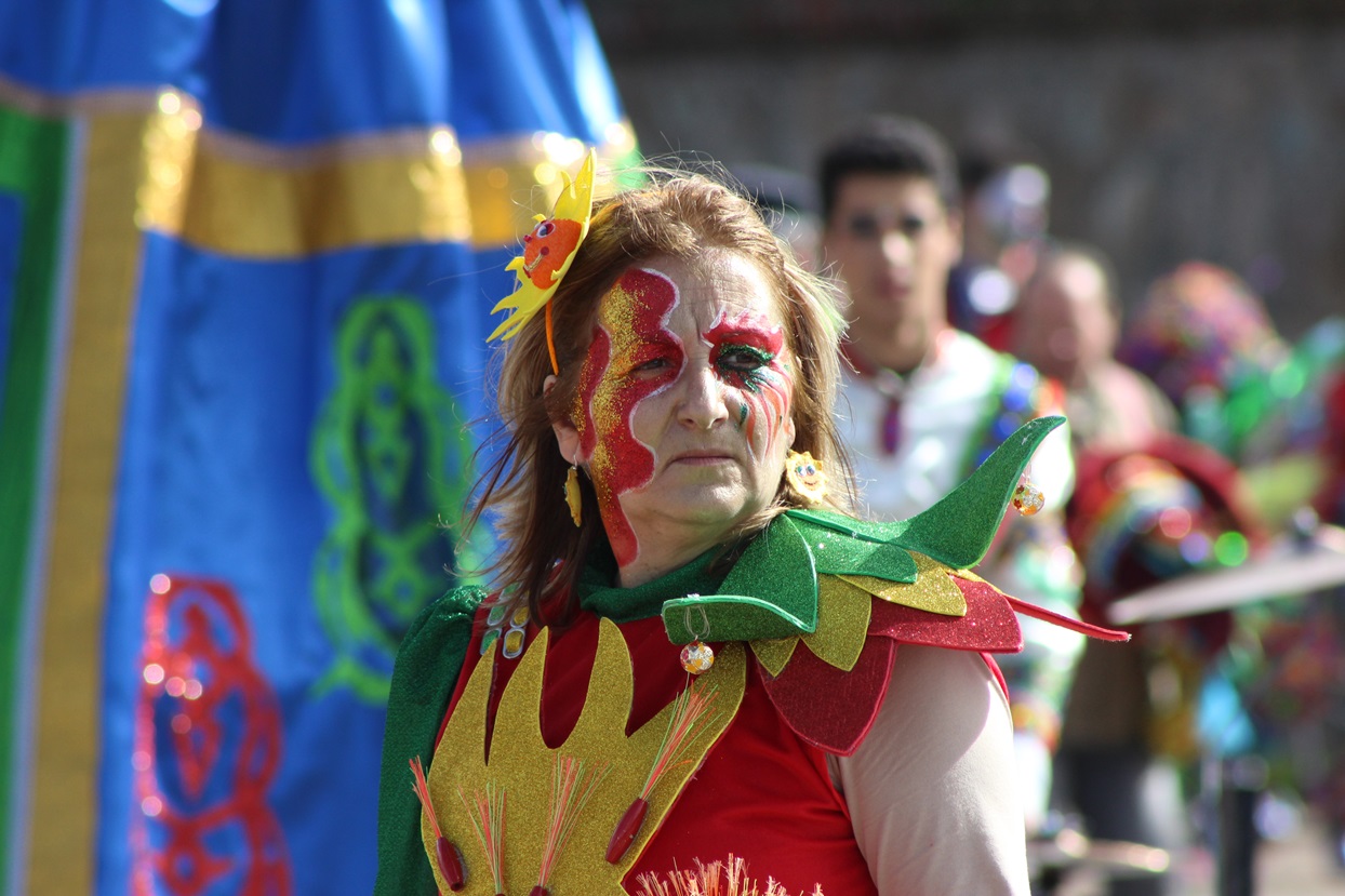 Primeros planos del Gran Desfile de Comparsas de Badajoz 2014