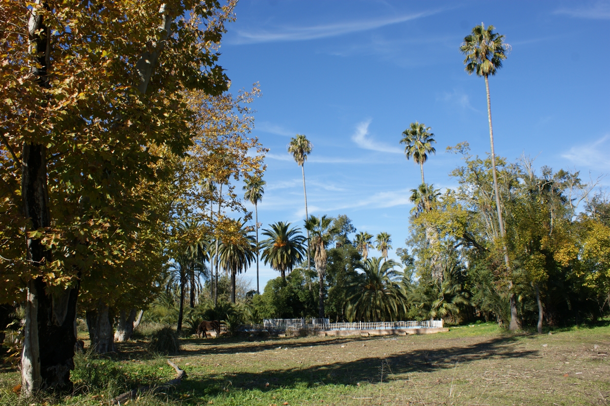 Imágenes en exclusiva del Parque Ascensión de Badajoz