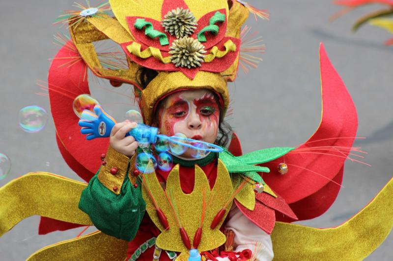 Primeros planos del Gran Desfile de Comparsas de Badajoz 2014