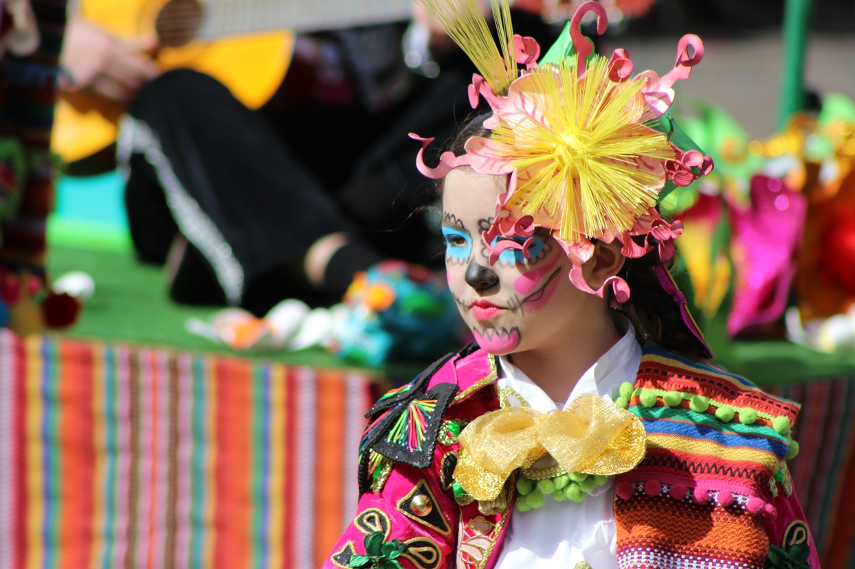 Primeros planos del Gran Desfile de Comparsas de Badajoz 2014