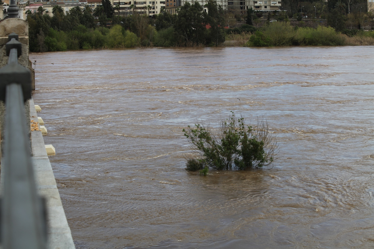 El caudal del Guadiana en Badajoz alcanza al Paseo Fluvial