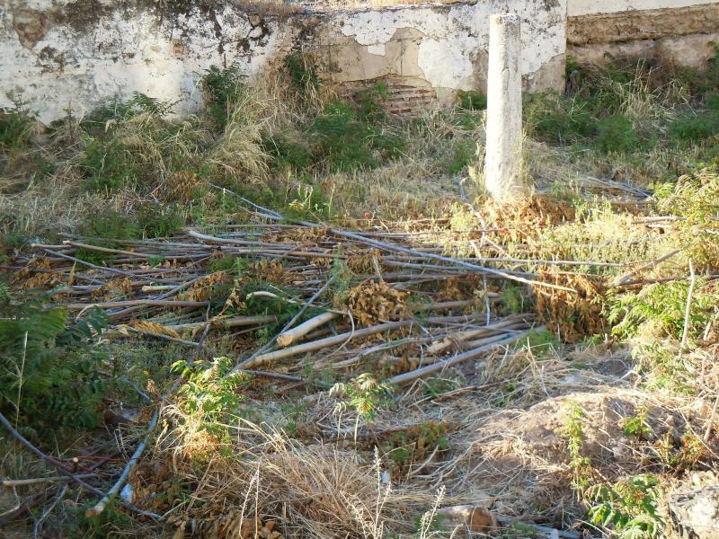 Numerosos actos vandálicos en la parte restaurada de la Alcazaba de Badajoz