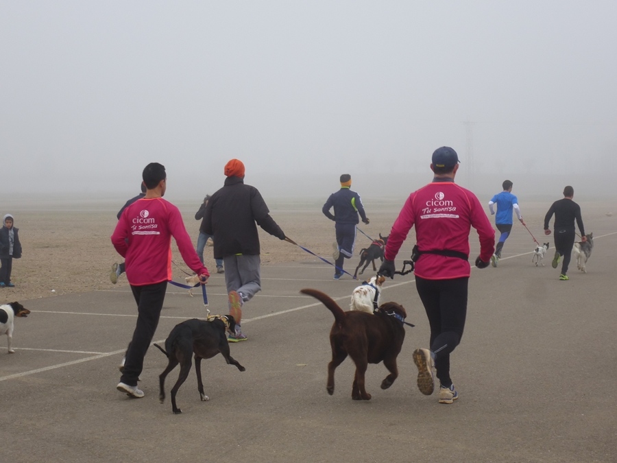 Celebrada la primera jornada de la San Silvestre pacense 