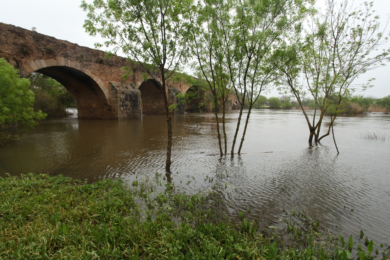 Crecida del río Guadiana a su paso por Badajoz