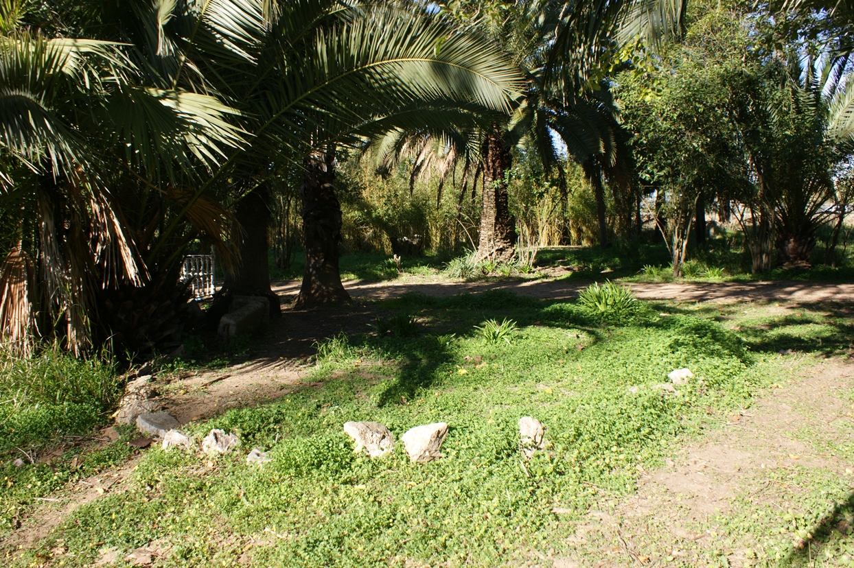 Imágenes en exclusiva del Parque Ascensión de Badajoz