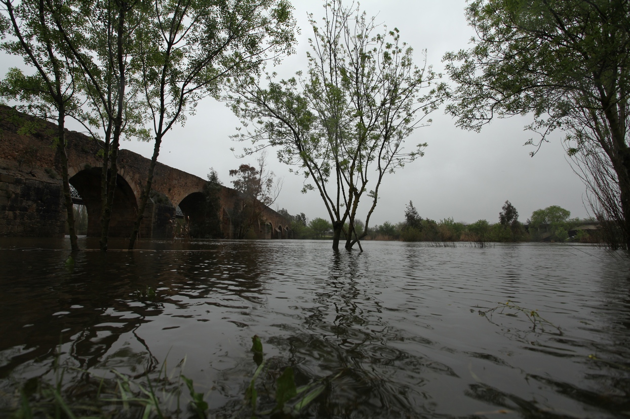 Crecida del río Guadiana a su paso por Badajoz