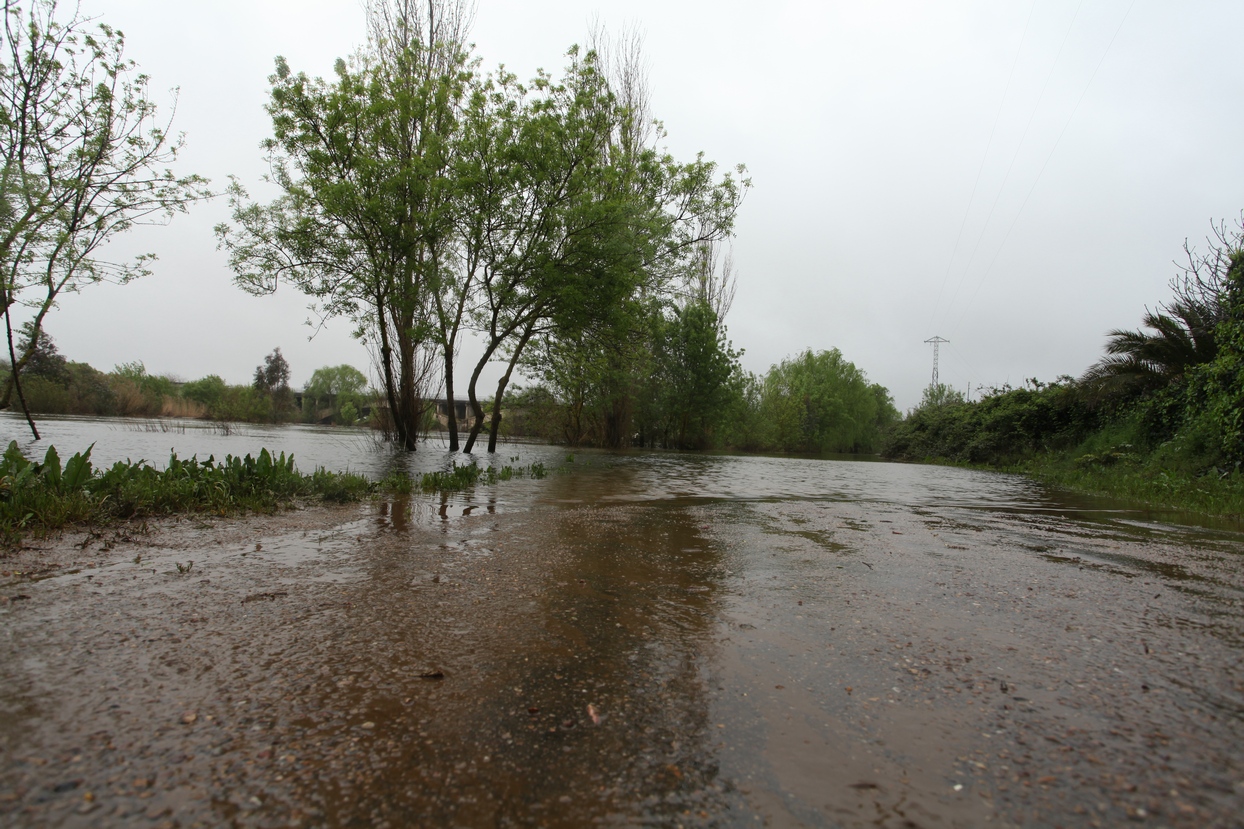 Crecida del río Guadiana a su paso por Badajoz