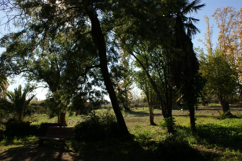 Imágenes en exclusiva del Parque Ascensión de Badajoz