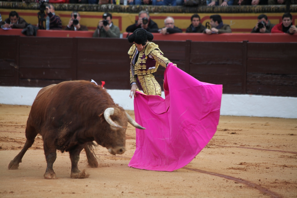 Reportaje fotográfico de la corrida de El Juli, Perera y Padilla en Olivenza