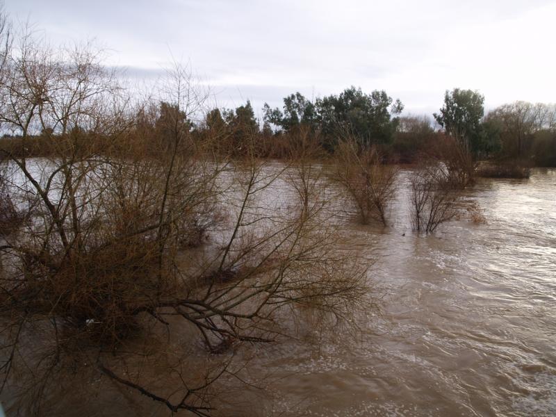 Aumenta el caudal de varios afluentes y del Río Guadiana