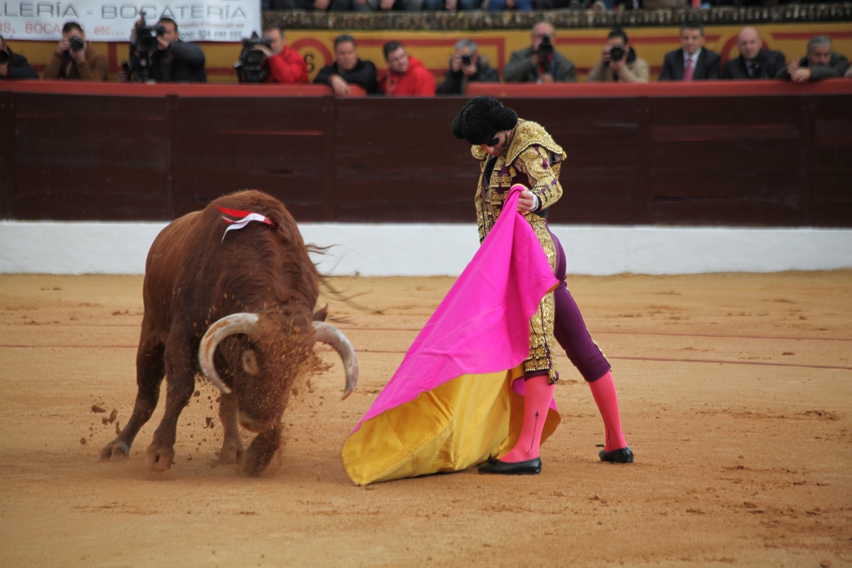 Reportaje fotográfico de la corrida de El Juli, Perera y Padilla en Olivenza