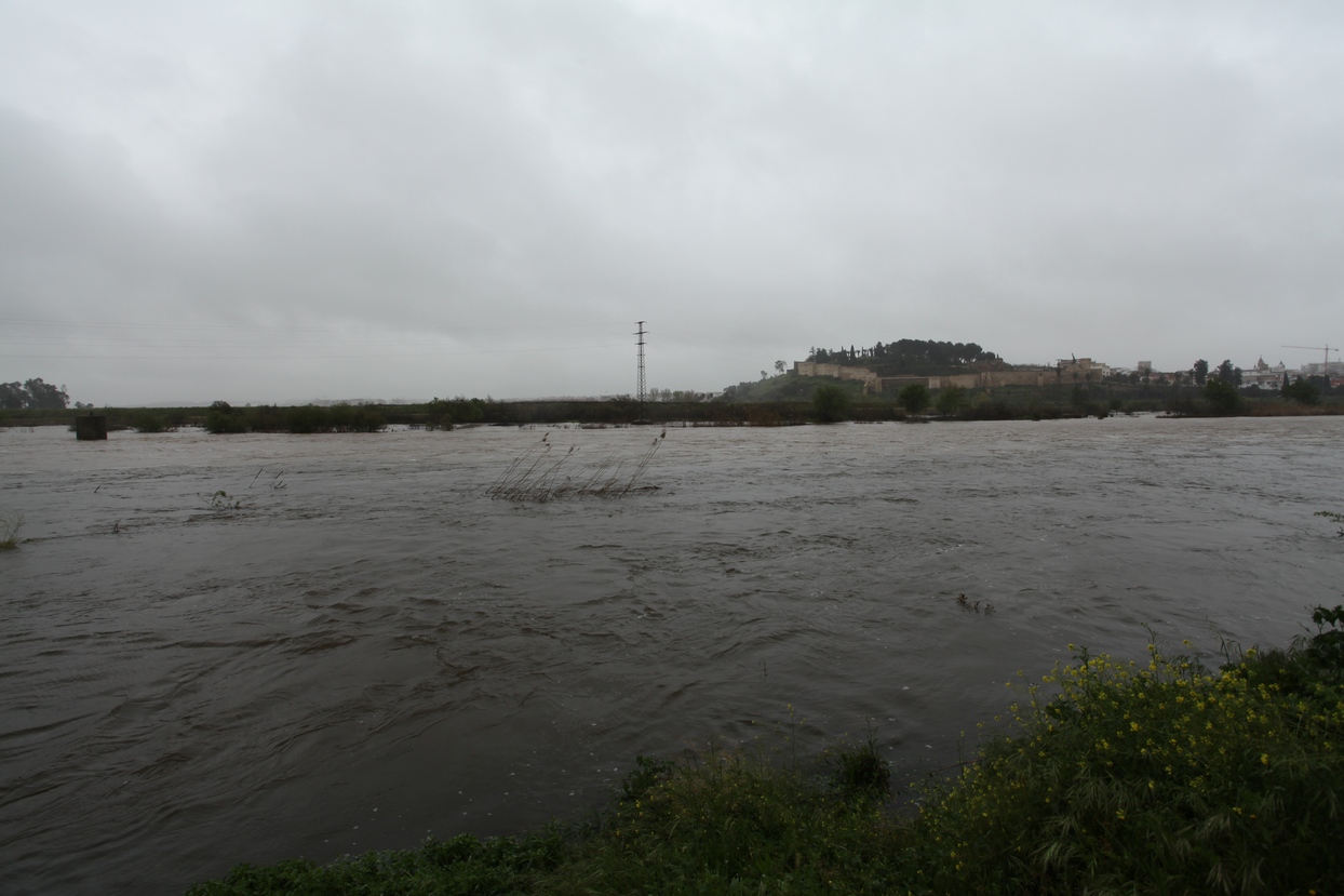 Crecida del río Guadiana a su paso por Badajoz