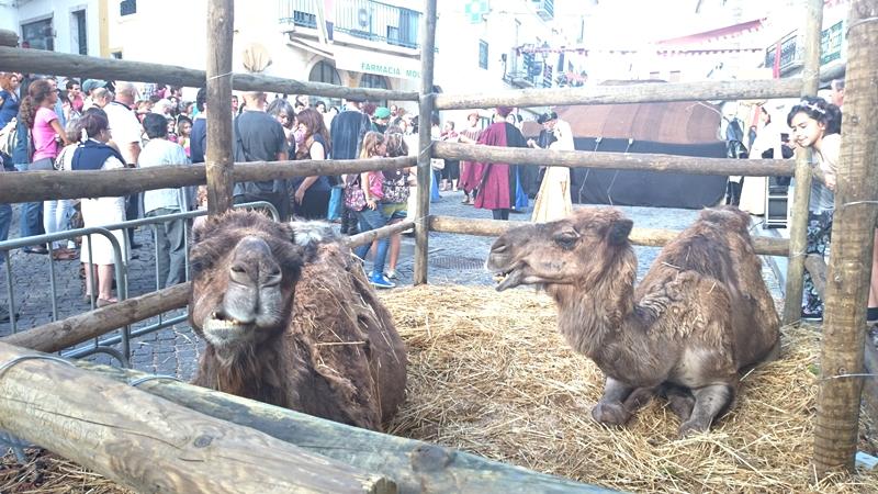 Reportaje sobre la Feria Medieval de Elvas