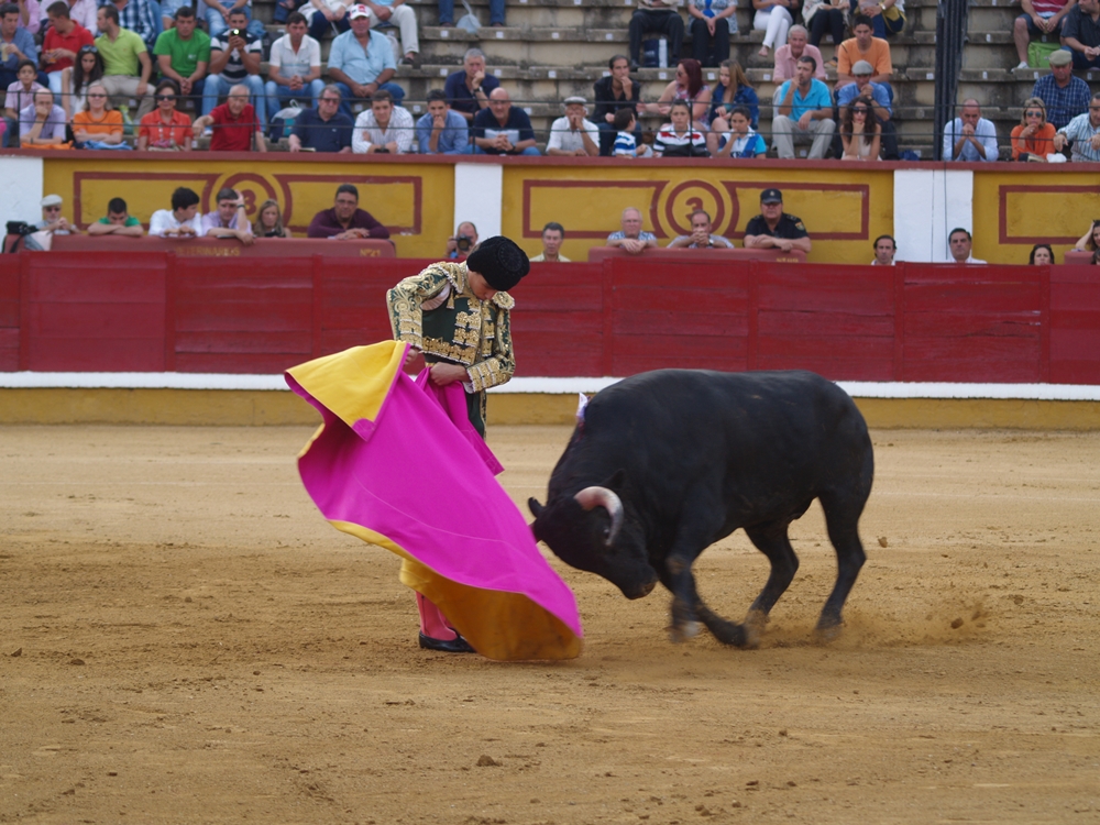 Imágenes de la Novillada de San Juan con José Garrido, Ginés Marín y Fernando Flores