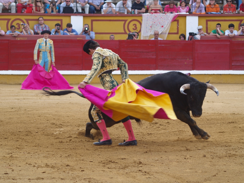 Imágenes de la Novillada de San Juan con José Garrido, Ginés Marín y Fernando Flores