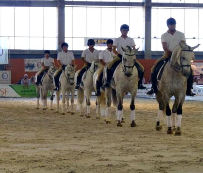 Ecuextre contará con exhibiciones de alumnos en doma de caballo