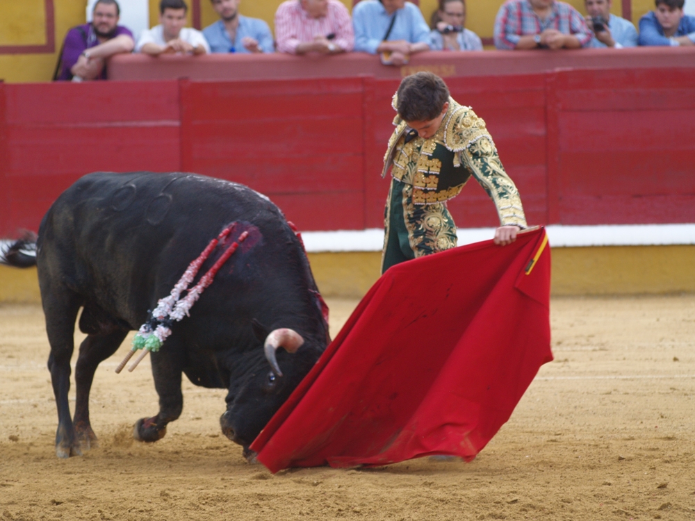 Imágenes de la Novillada de San Juan con José Garrido, Ginés Marín y Fernando Flores