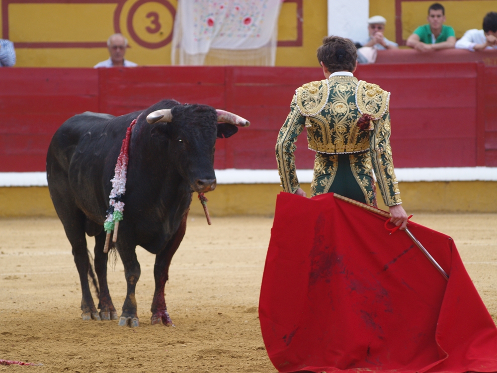 Imágenes de la Novillada de San Juan con José Garrido, Ginés Marín y Fernando Flores