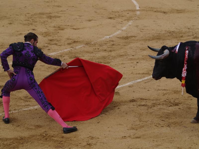 Imágenes de la primera corrida de la Feria de San Juan 2014