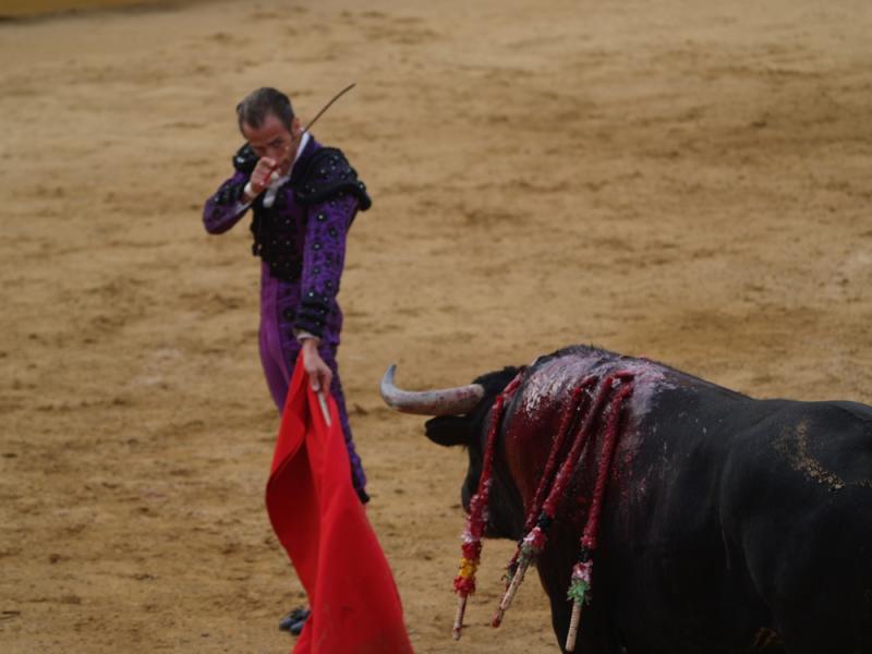 Imágenes de la primera corrida de la Feria de San Juan 2014