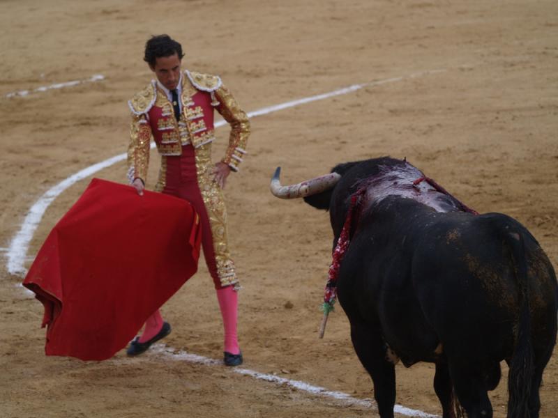 Imágenes de la primera corrida de la Feria de San Juan 2014