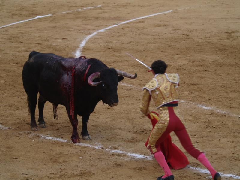 Imágenes de la primera corrida de la Feria de San Juan 2014