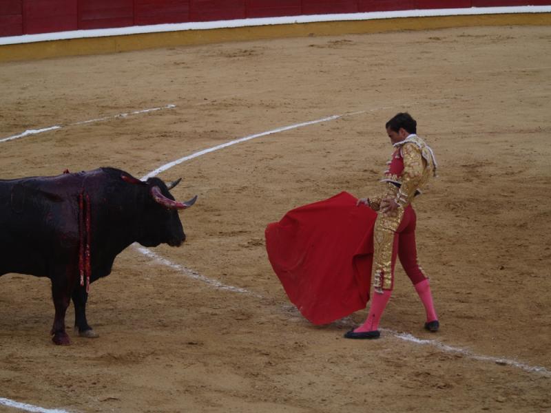 Imágenes de la primera corrida de la Feria de San Juan 2014