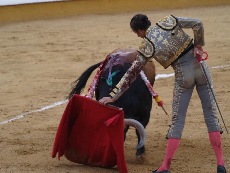 Imágenes de la primera corrida de la Feria de San Juan 2014