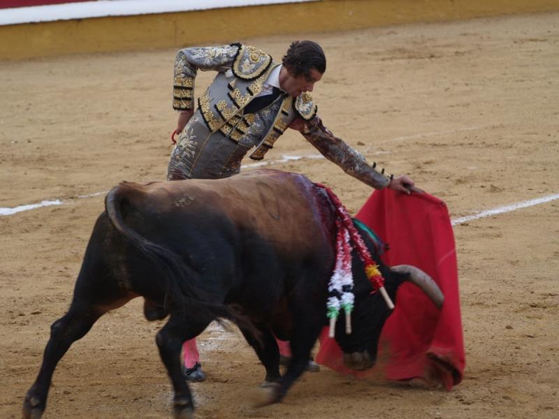 Imágenes de la primera corrida de la Feria de San Juan 2014