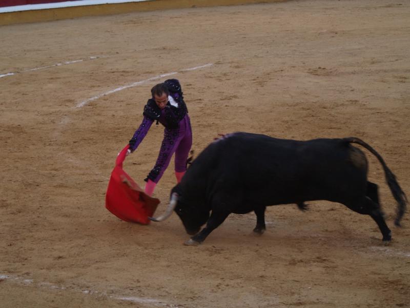 Imágenes de la primera corrida de la Feria de San Juan 2014