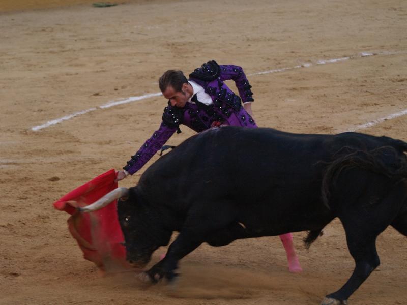 Imágenes de la primera corrida de la Feria de San Juan 2014