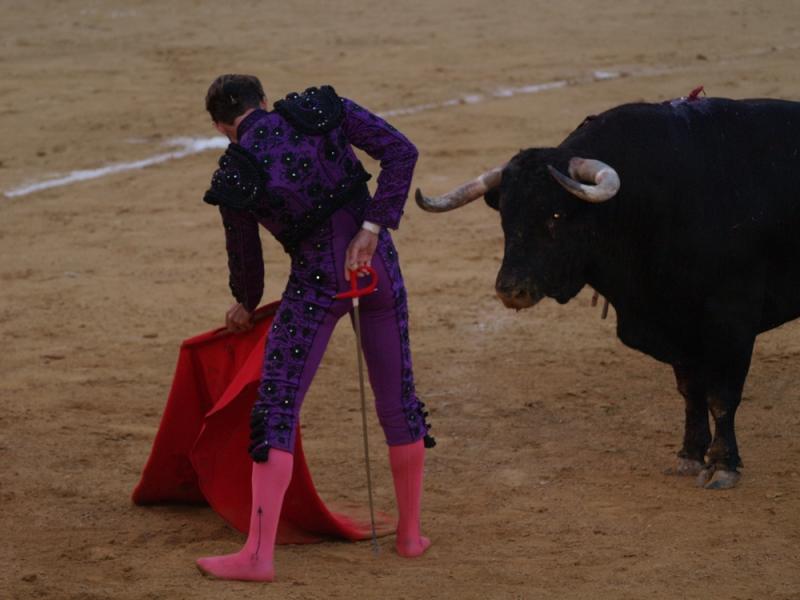 Imágenes de la primera corrida de la Feria de San Juan 2014