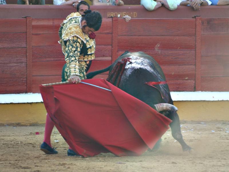 Imágenes de Campos, Morante, El Juli y Perera en la segunda de Feria de Badajoz